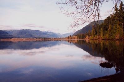 Lake Quinault