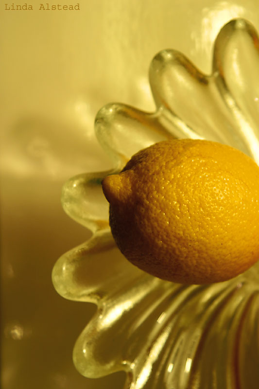 14th October 2005 - oranges are not the only fruit