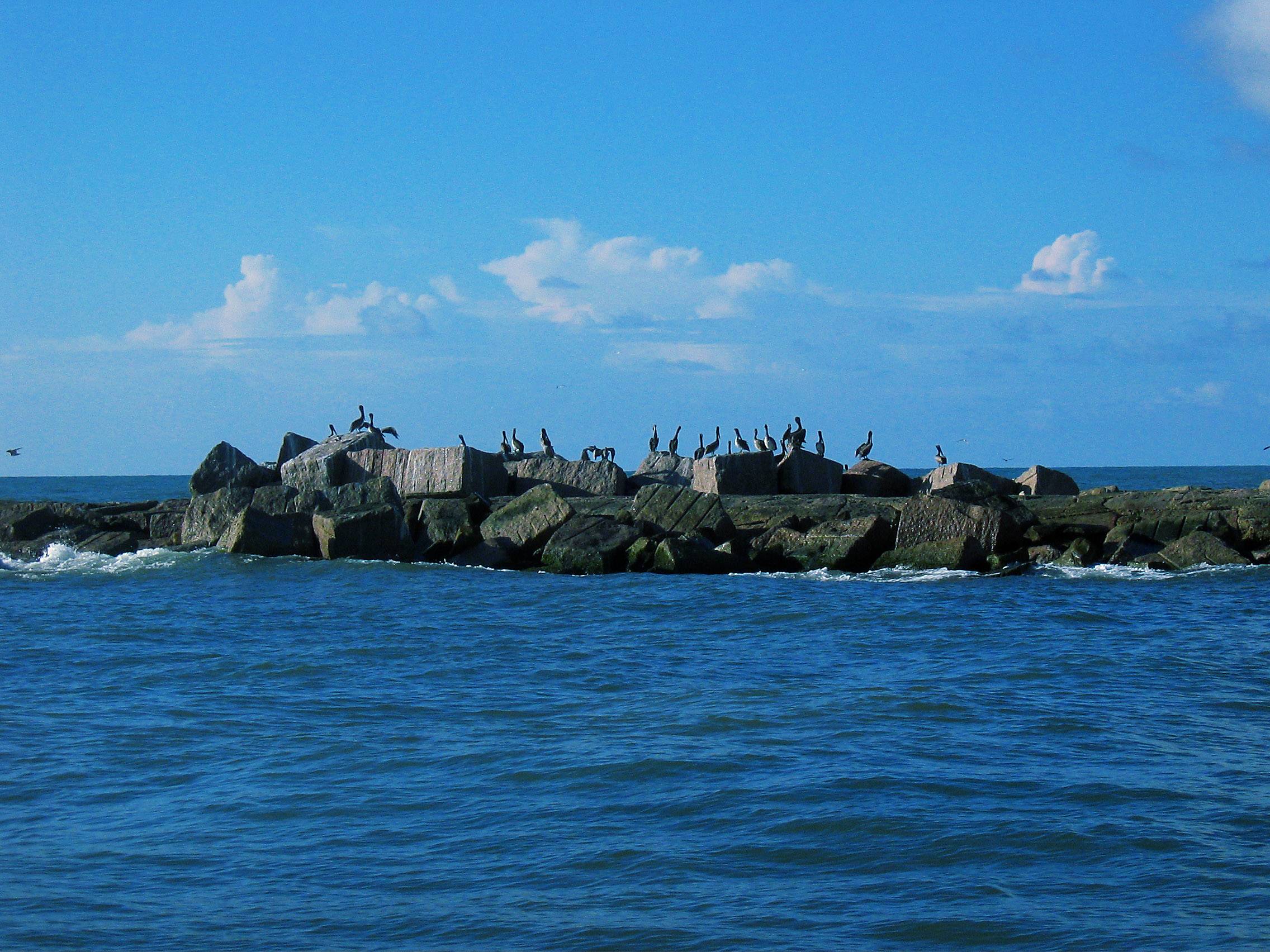 Pelicans Wharf