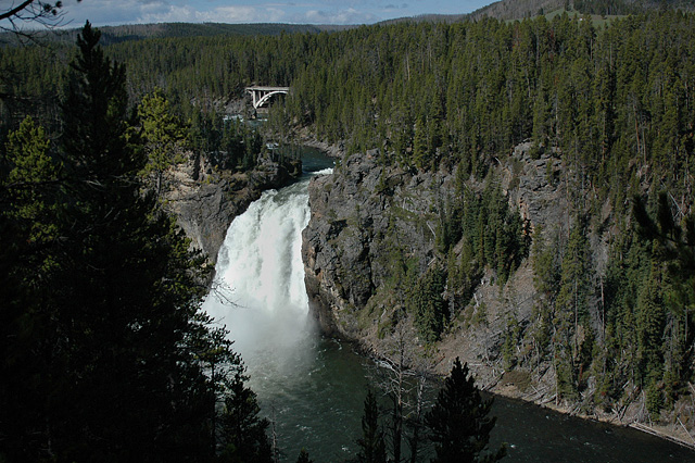 Lower Falls Yellowstone Canyon