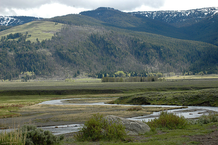 Lamar Valley, Yellowstone