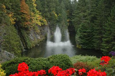 Landscape
