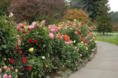 Flower Garden