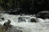 Yellowstone Park Stream