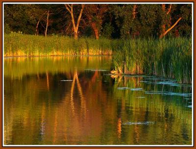 July 30 - Early Evening