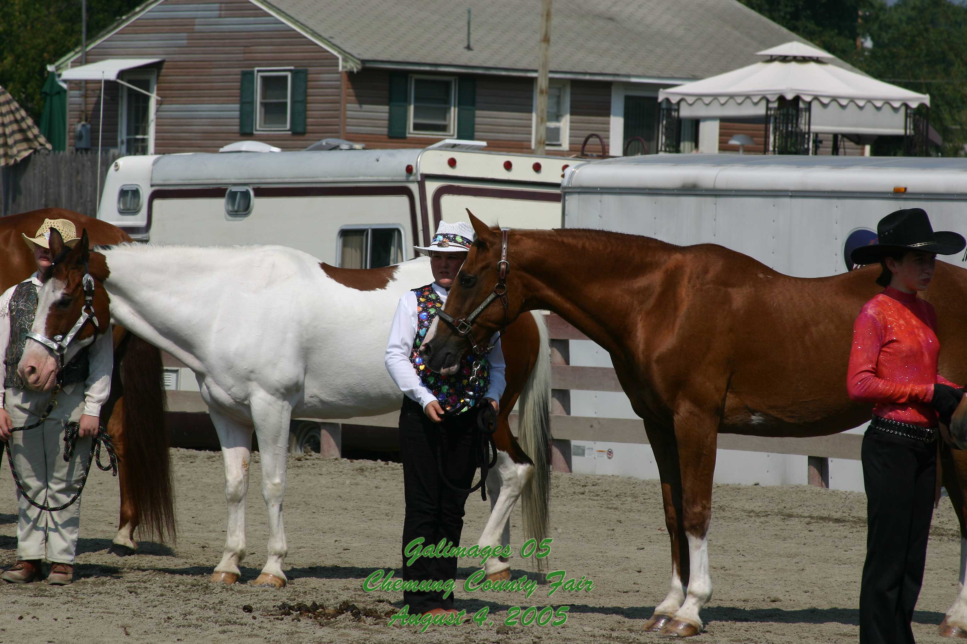 County-Fair-Thursday_425.jpg