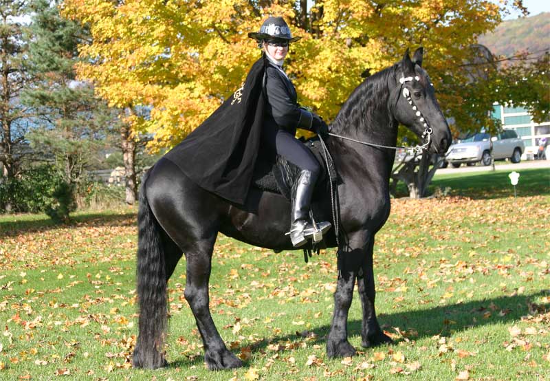 Zorro-&-Beike.jpg