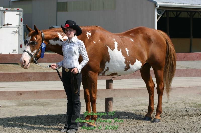 County-Fair-Thursday_430.jpg