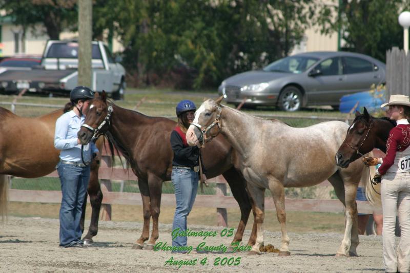 County-Fair-Thursday_442.jpg