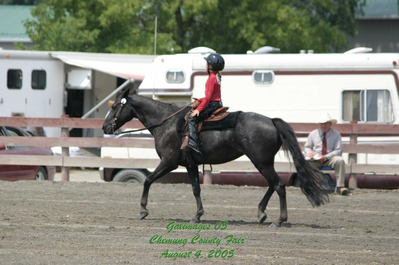 County-Fair-Thursday_590.jpg