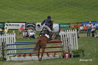 Dobbin 1.jpg