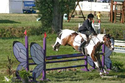 v3/52/382852/3/46781084.WinnerOTASamira.jpg