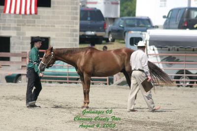 County-Fair-Thursday_435.jpg