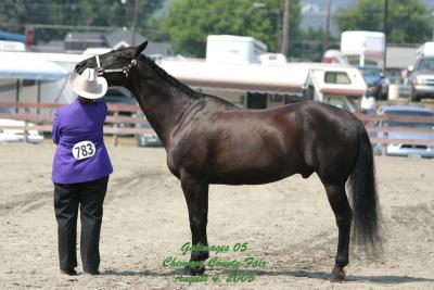 County-Fair-Thursday_456.jpg