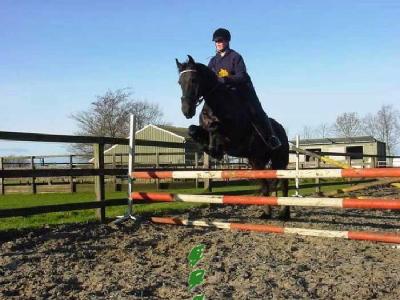 Beike Jumping