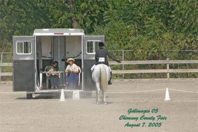 Chemung County Fair's Sunday Dressage