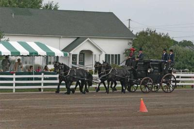 v3/52/382852/3/47644047.FriesianFour.jpg