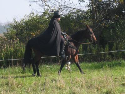 Zorro Alan riding.JPG