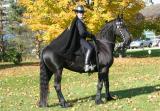 Zorro-&-Beike.jpg