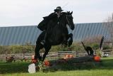 Zorro-To-The-Rescue.jpg