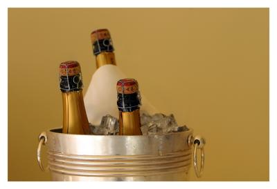 v3/52/386352/3/51334213.Bubbly.jpg