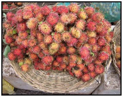 Fruit at the local market