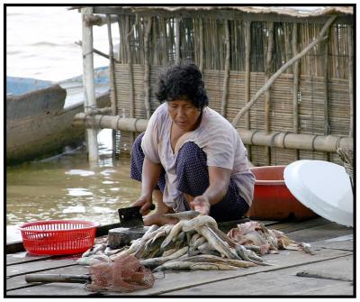 v3/52/386952/3/50842947.btonle_sap_2280.jpg