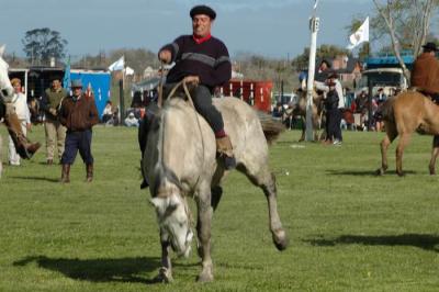d003117.jpg