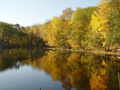 DSC03790r.jpg