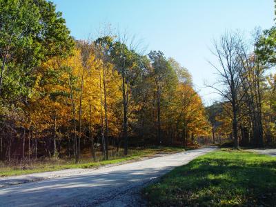 DSC03794r.jpg