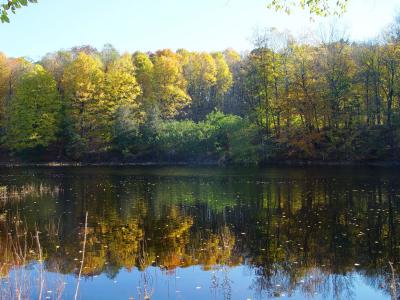 DSC03810r.jpg