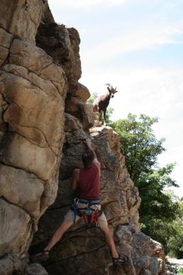 Climbing buddy 08