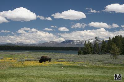 Yellowstone Lake