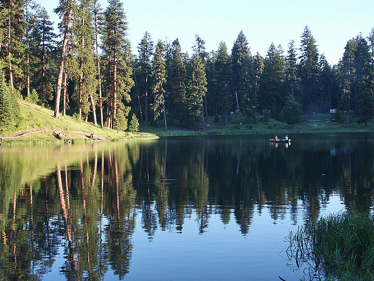 Evening Fishing