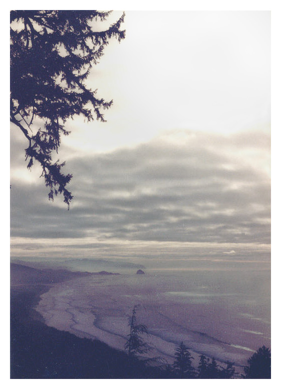 coast misty sunset