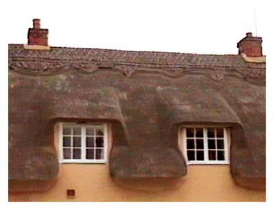 Ickleford cottage roof