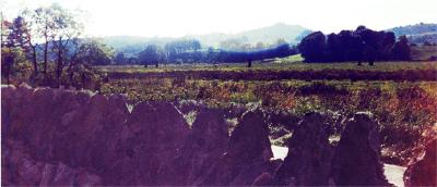 Nether Largie, Kilmartin stones