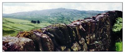 v3/52/514552/3/44809726.a_a_stonewalls.jpg
