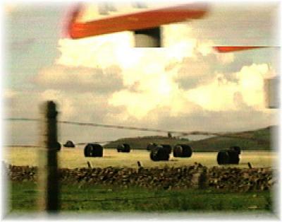 fast past bales