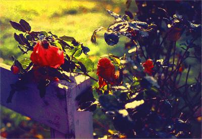 original photo