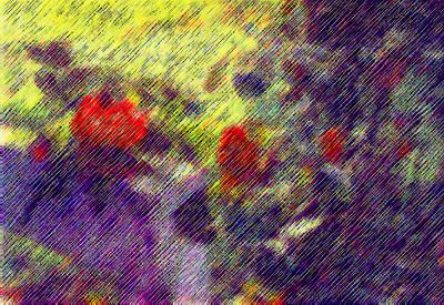 Old Roses as Pastels