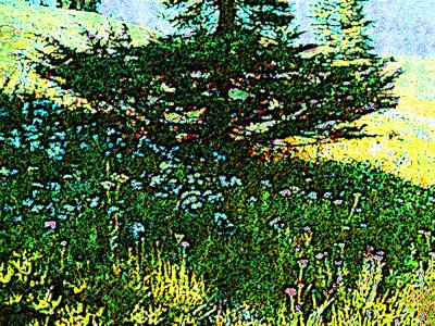 v3/52/514552/3/46961962.a_a_hoodfllowers_daubedge1pstlddg.jpg