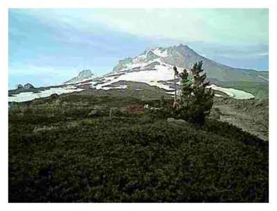 Hood cabin distant