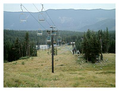 Hood Meadows