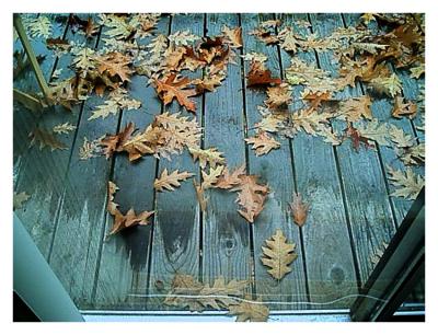 my porch