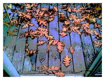 porch leaves exclusion