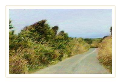 v3/52/514552/3/48914718.x_card_davidsbay_hedges_pastel_frm.jpg