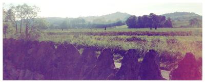 standing stones and stone fence