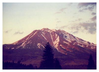 v3/52/514552/3/49653447.a_c_Shasta1.jpg