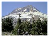 Gnarly Ridge